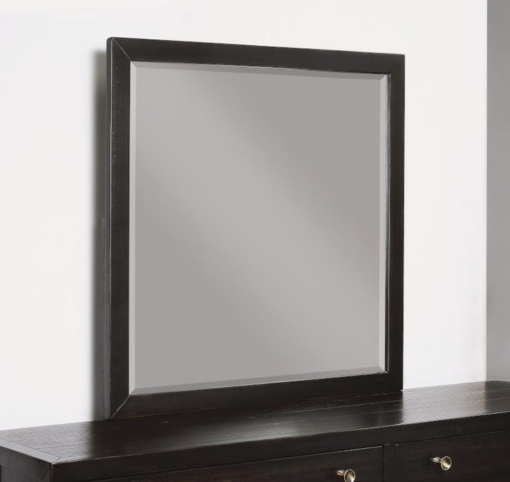 Flexsteel Wynwood Cologne Mirror in Dark Brown image